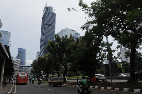 Ratusan pohon di Jalan Sudirman ditebang buat trotoar