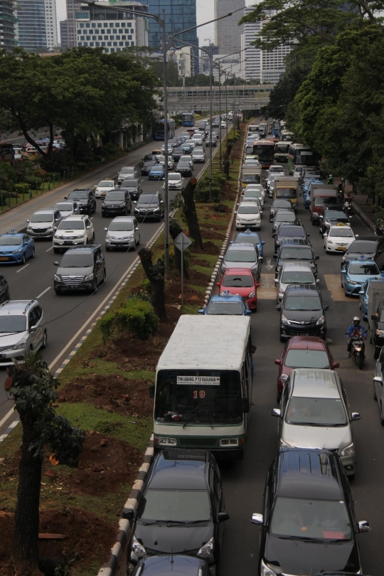 Ratusan pohon di Jalan Sudirman ditebang buat trotoar