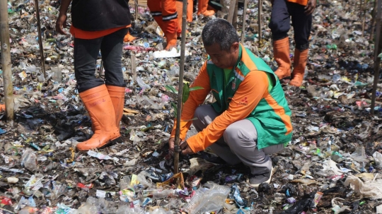 Sampah Muara Angke jadi media tanam bibit mangrove