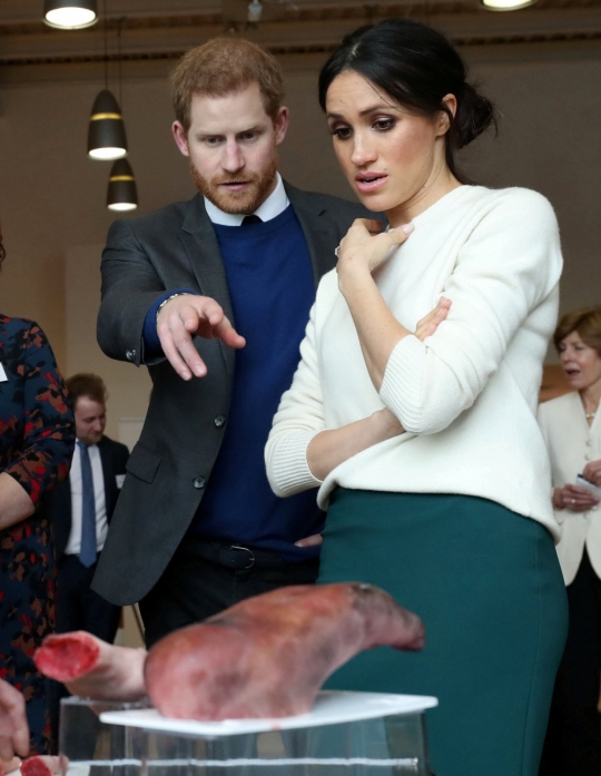 Reaksi Pangeran Harry dan Meghan Markle saat diperlihatkan potongan tubuh