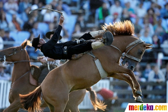 Foto : Aksi ekstrem para gaucho taklukan kuda liar di 