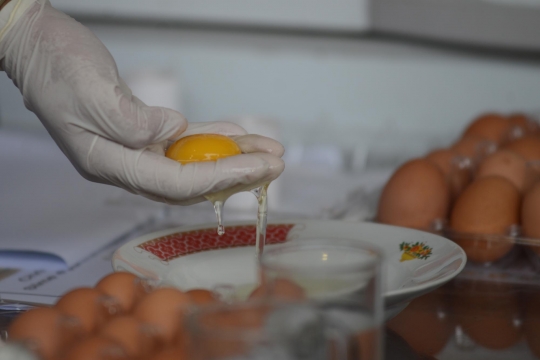 Menguji keaslian telur di Pasar Johar Baru yang dikira palsu