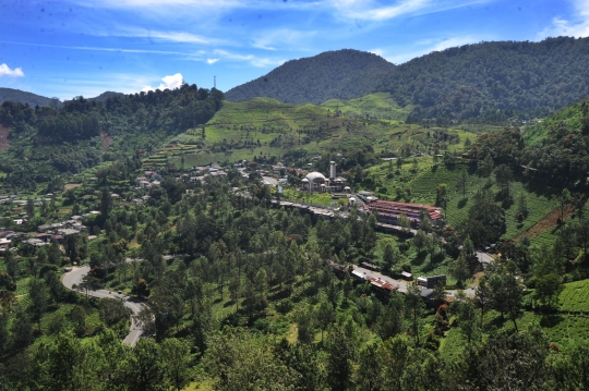 Sepinya kawasan Puncak dikeluhkan para pedagang