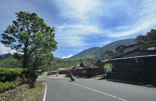 Sepinya kawasan Puncak dikeluhkan para pedagang