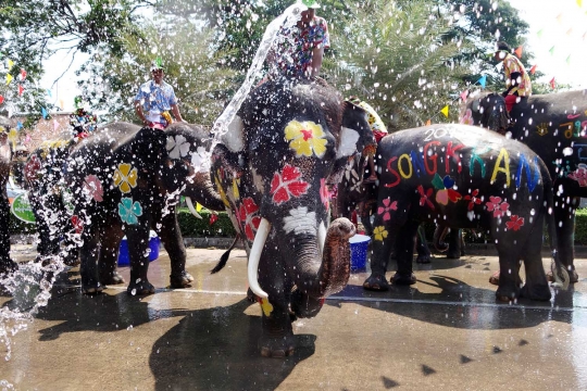 Perang air gajah dan manusia di Festival Songkran