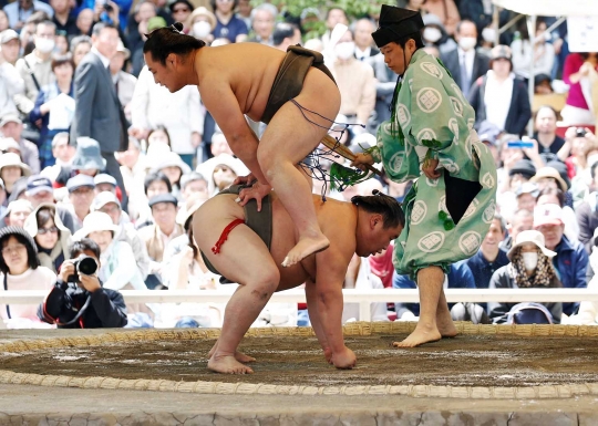 Keseruan turnamen 'Honozumo' di Jepang