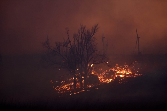 Dahsyatnya si jago merah lalap hutan di Oklahoma