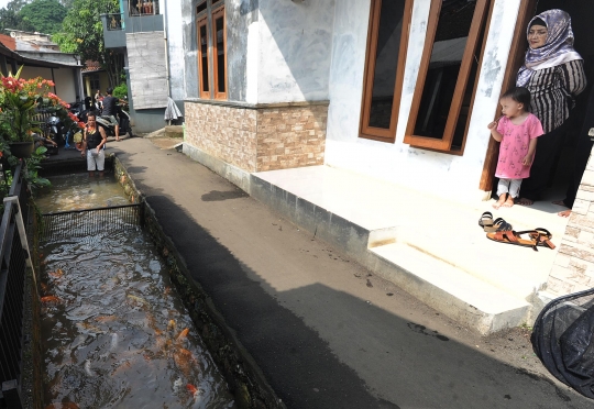 Ini selokan air yang diubah jadi kolam ikan oleh warga di Bogor