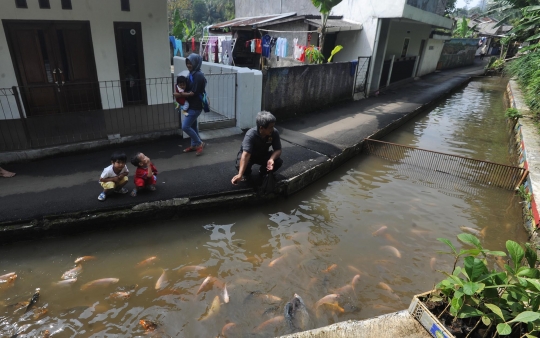 Ini selokan air yang diubah jadi kolam ikan oleh warga di Bogor