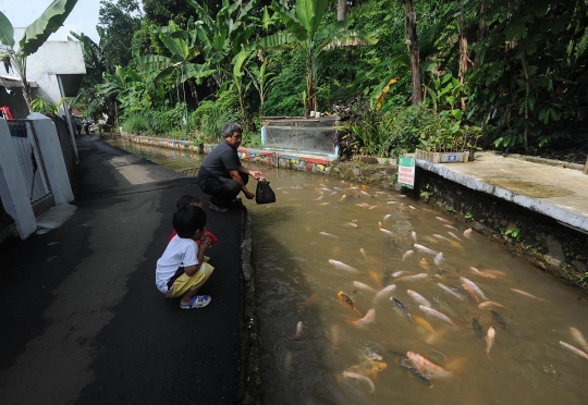 Ini selokan air yang diubah jadi kolam ikan oleh warga di Bogor