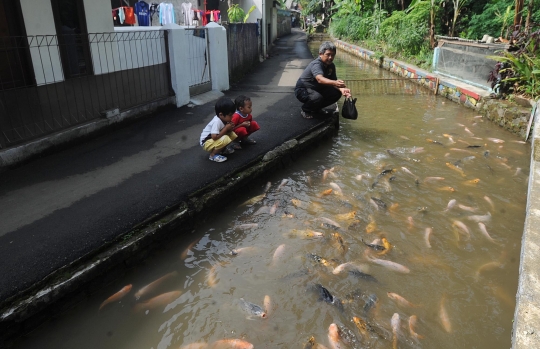 Ini selokan air yang diubah jadi kolam ikan oleh warga di Bogor