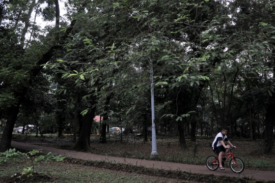 Pemprov DKI berencana jadikan hutan kota sebagai destinasi wisata