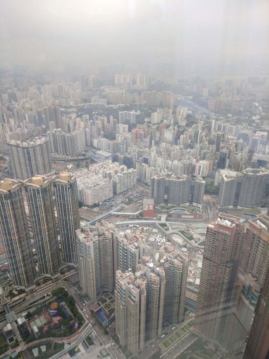 Serunya menjadi 'burung' di Sky 100 Hong Kong, berani coba?