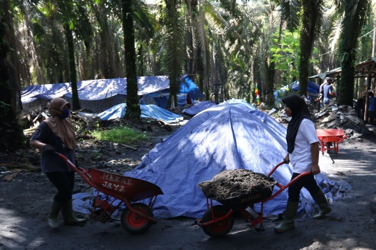 Geliat industri pupuk kompos beromzet miliaran