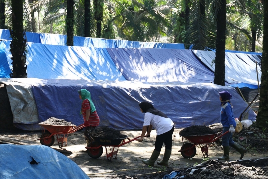 Geliat industri pupuk kompos beromzet miliaran