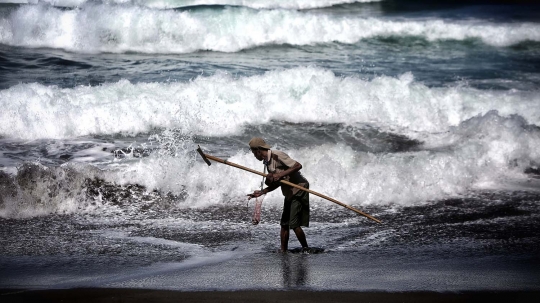 Kisah pencari undur-undur laut di pesisir Kebumen