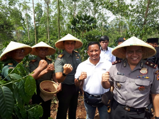 Indonesia Power UPJP panen Kopi Java Preanger di Garut