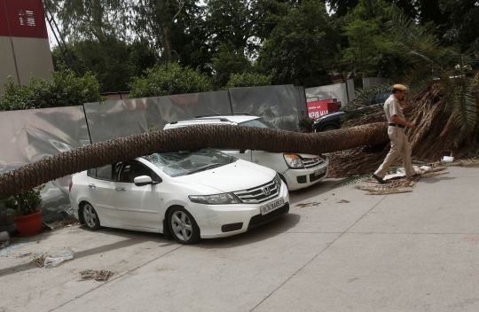Terjangan badai debu tumbangkan pohon besar hingga tiang listrik di India