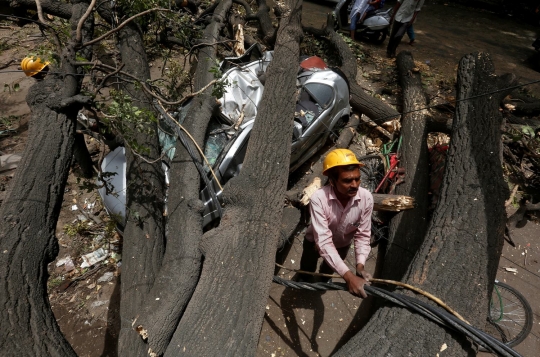 Terjangan badai debu tumbangkan pohon besar hingga tiang listrik di India