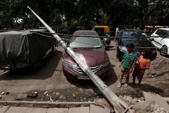 Terjangan badai debu tumbangkan pohon besar hingga tiang listrik di India