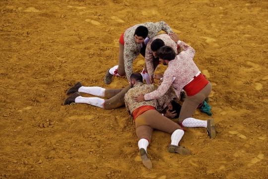 Aksi pertarungan matador lawan banteng di Portugal