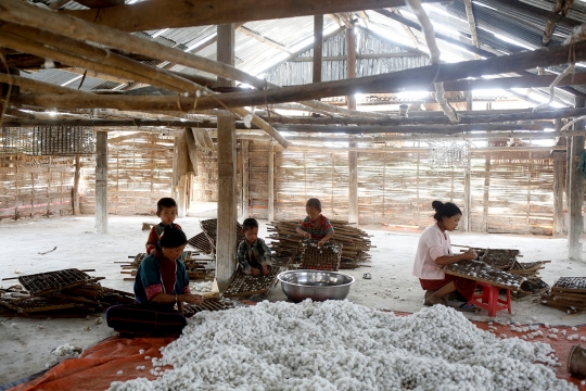 Hidup baru petani opium Myanmar