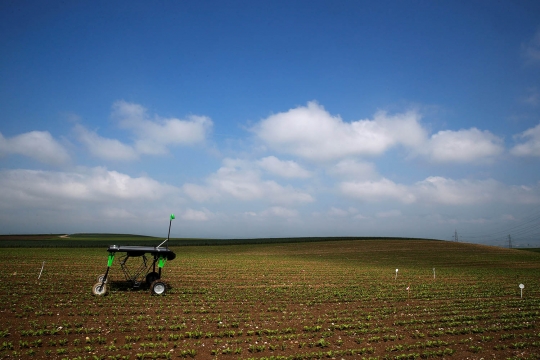 Canggihnya robot pembasmi gulma buatan Swiss