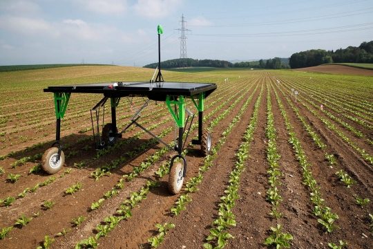 Canggihnya robot pembasmi gulma buatan Swiss