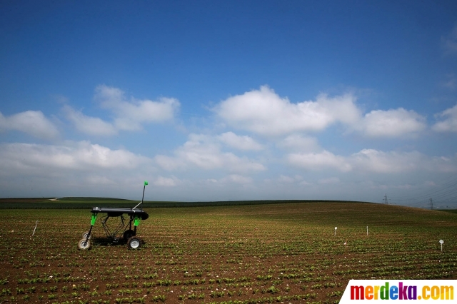 Foto : Canggihnya robot pembasmi gulma buatan Swiss 
