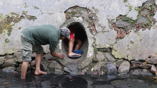 Penyelamatan anjing yang 3 hari terjebak di gorong-gorong Kali Gresik