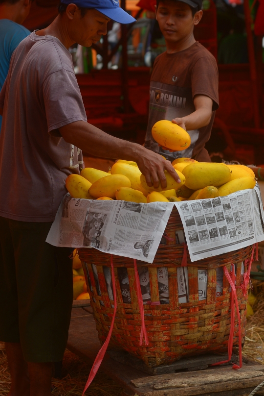 Ramadan, penjualan timun suri meningkat