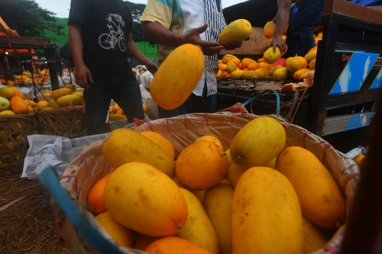 Ramadan, penjualan timun suri meningkat