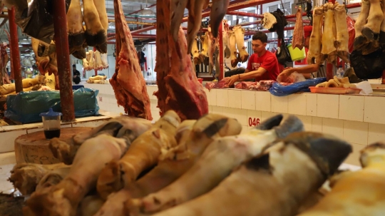 Harga daging sapi terpantau masih normal selama bulan puasa