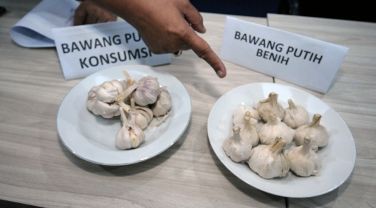 Polisi amankan 30.000 ton bawang putih impor