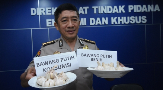 Polisi amankan 30.000 ton bawang putih impor