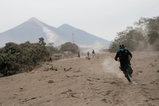 Perjuangan petugas sampai tersandung saat mencari korban erupsi Gunung Fuego