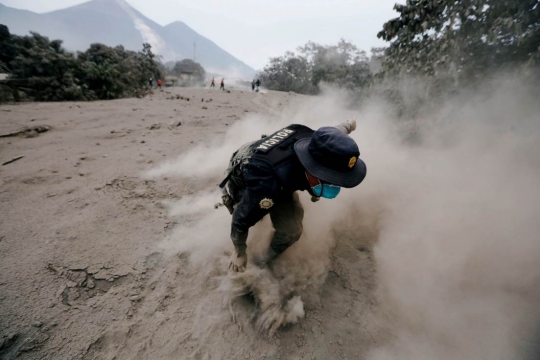 Perjuangan petugas sampai tersandung saat mencari korban erupsi Gunung Fuego