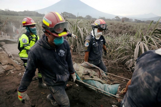 Perjuangan petugas sampai tersandung saat mencari korban erupsi Gunung Fuego