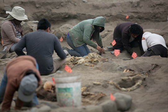 Dijadikan tumbal, arkeolog Peru temukan 56 kerangka anak-anak