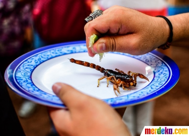 Foto : Mencicipi jajanan ekstrem di pasar Meksiko merdeka.com