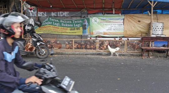 H-3 Lebaran, penjual ayam mulai ramai di pinggir jalan
