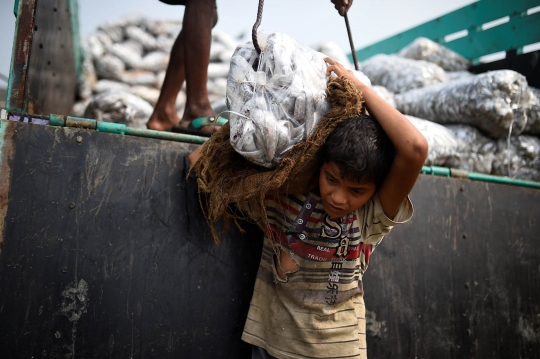 Kisah pengungsi Rohingya bertahan hidup menjadi nelayan