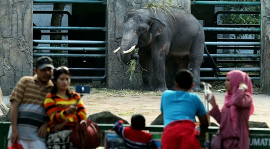 Ragunan masih jadi tempat favorit libur Lebaran