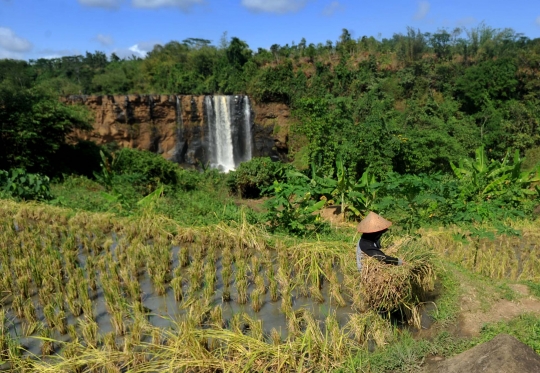 Keindahan Curug Awang yang jadi ikon Geopark Ciletuh