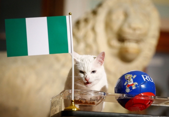 Kucing ajaib Rusia ramal Nigeria kalahkan Argentina