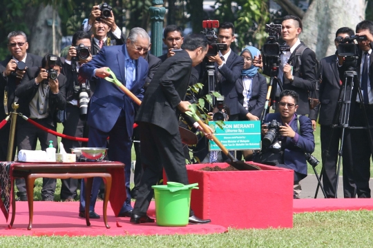 Jokowi ajak Mahathir ngobrol santai dan tanam pohon di Istana Bogor