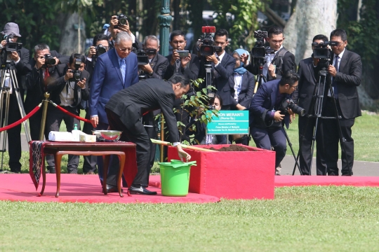 Jokowi ajak Mahathir ngobrol santai dan tanam pohon di Istana Bogor