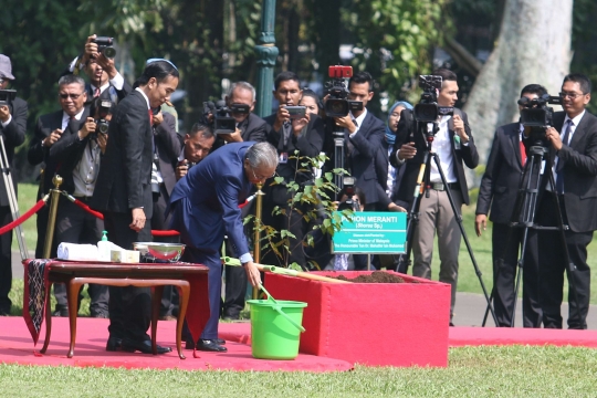 Jokowi ajak Mahathir ngobrol santai dan tanam pohon di Istana Bogor