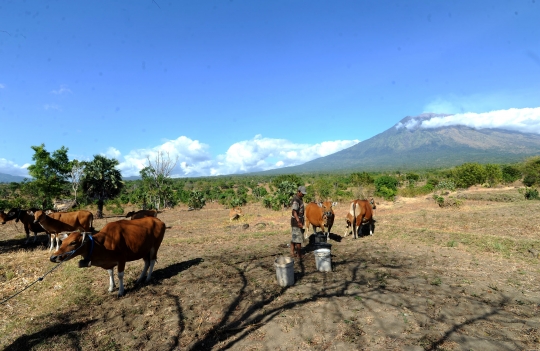 Warga Bali tetap beraktifitas pascaeruspi Gunung Agung