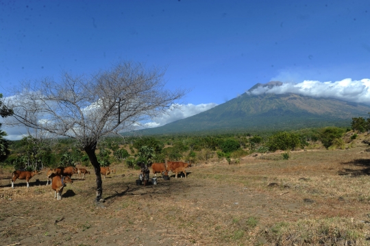 Warga Bali tetap beraktifitas pascaeruspi Gunung Agung